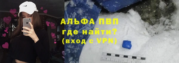 индика Лихославль