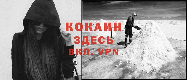 индика Лихославль