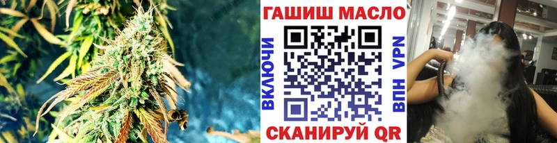 сколько стоит  Губкин  ТГК THC oil 