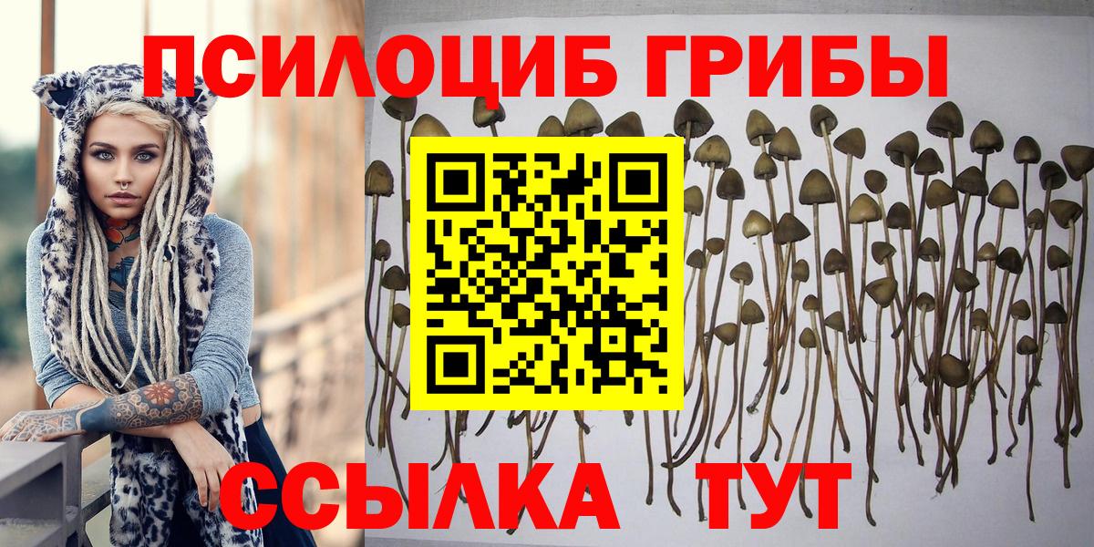 Псилоцибиновые грибы MAGIC MUSHROOMS  Псилоцибиновые грибы ЛСД  Вход с VPN  Губкин 