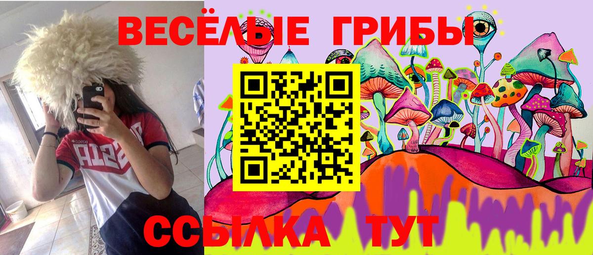 Галлюциногенные грибы мухоморы Губкин