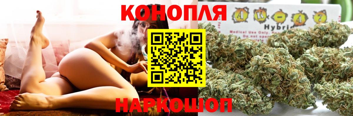 Конопля MAZAR Губкин